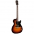 GODIN 047123 Summit Classic SG