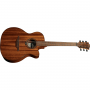 Lg T98ACE Chitarra folk Serie Tramontane