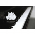 PIANOFORTE METODI E STUDI